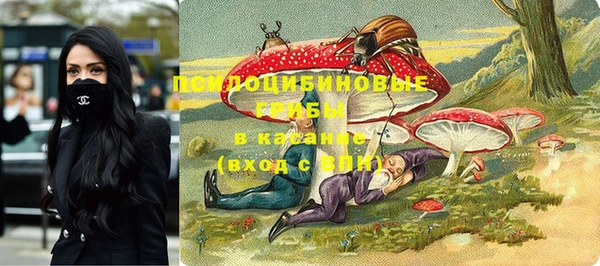 ПСИЛОЦИБИНОВЫЕ ГРИБЫ Инсар