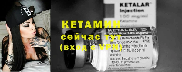ПСИЛОЦИБИНОВЫЕ ГРИБЫ Инсар