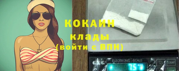 ПСИЛОЦИБИНОВЫЕ ГРИБЫ Инсар