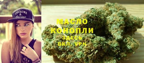 метадон Инта