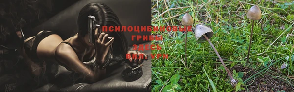ПСИЛОЦИБИНОВЫЕ ГРИБЫ Инсар