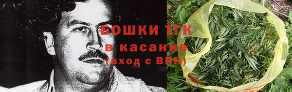 метадон Инта
